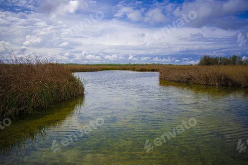 Preview: Horizontal image of a river in the foreground in the middle of a wheat field