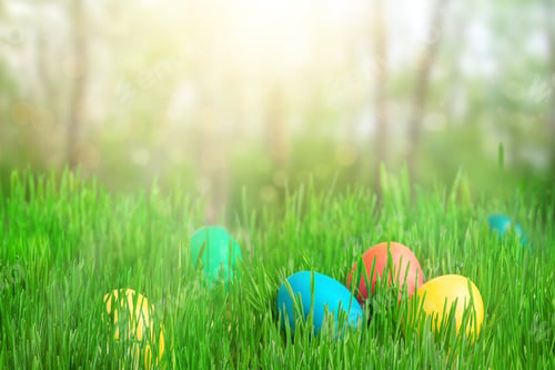 Preview: Colorful Easter eggs on green grass and defocused garden background. Copy space
