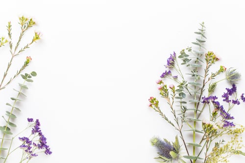 Preview: Bio herbal green cosmetic arrangement, sea salt and handmade cosmetic.