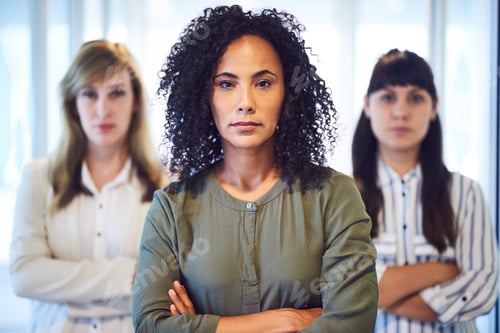 Preview: Women are obliterating the business world. Portrait of a group of businesswomen in the office.