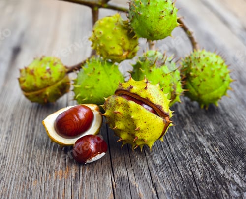 Preview: Chestnuts on old wooden background