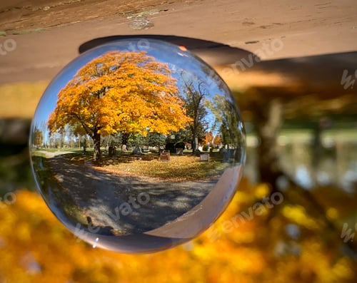 Preview: Beautiful yellow Autumn tree reflected in glass lens ball