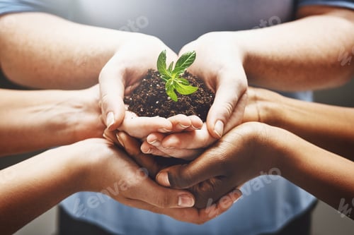 Preview: Things grow when its in the right hands