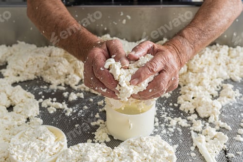 Preview: close-up of a senior worker's hands holding curd before depositing it into a mould.