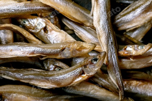 Preview: sun-dried sea fish smelt hamsa anchovy