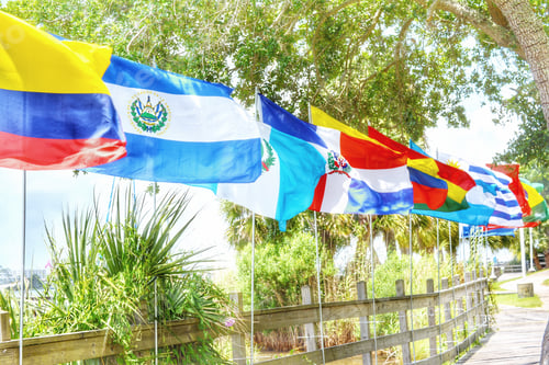 Preview: Flags from festival