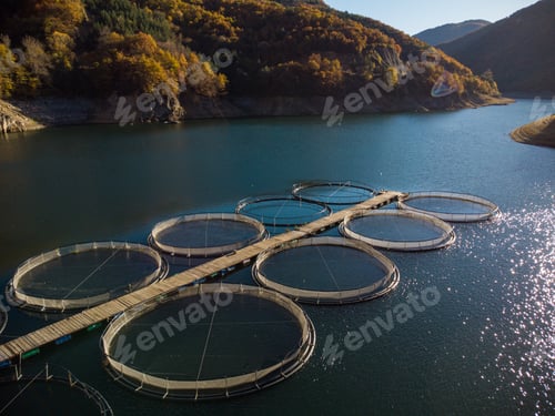 Preview: trout fish farm in the river aerial view