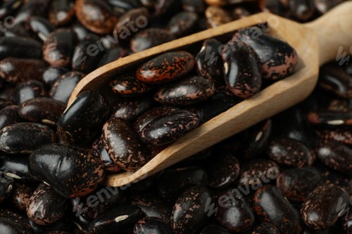 Preview: Scoop with black beans all over background