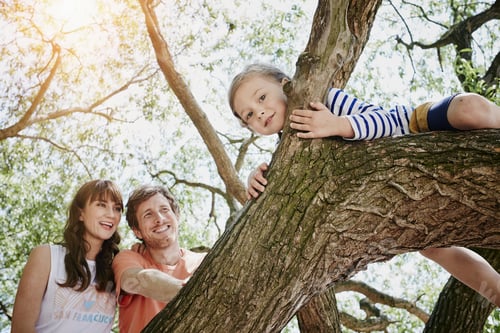 Vista previa: Parents watching daughter climbing on a tree
