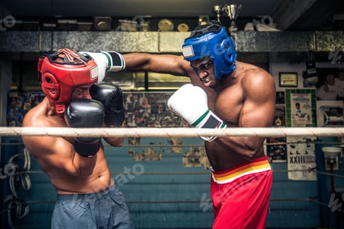 Preview: Boxing match