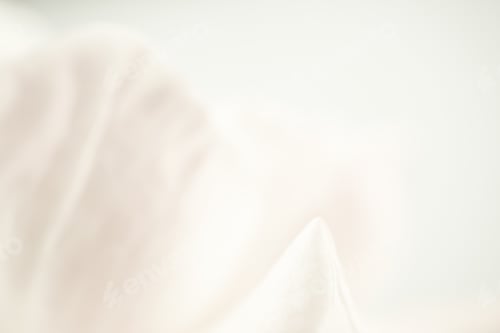 Preview: Sweet Color Rose Petals In Soft And Blur Style For Romantic Background