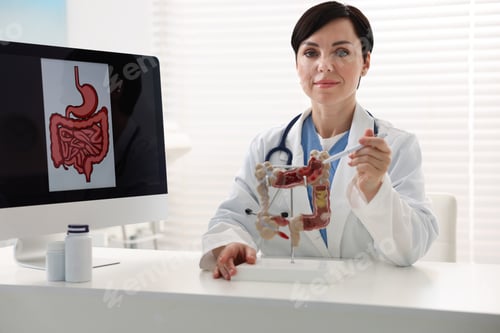Preview: Gastroenterologist showing model of large intestine at white table in clinic