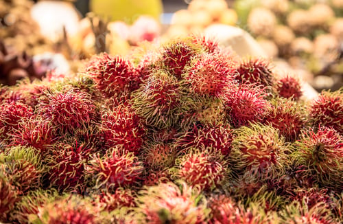 Preview: Rambutan on the counter market