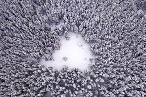 Preview: Aerial drone top down fly over winter spruce