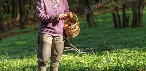 Preview: A woman is cutting a white mushroom with a knife. Hands of a woman, a knife, mushrooms.