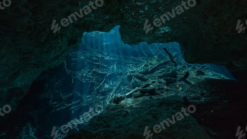 Preview: water scape of a cenote taken underwater