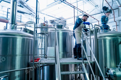 Preview: Young man in brewery wearing apron testing beer in tank