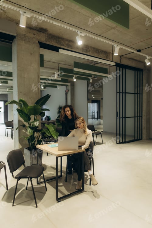 Preview: Two Colleagues Collaborate in a Modern Office Environment with a Laptop