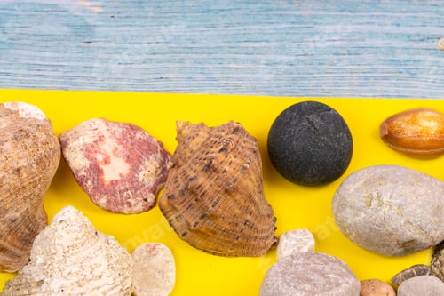 Preview: stones and shells on a blue wooden background and a yellow background.Marine theme