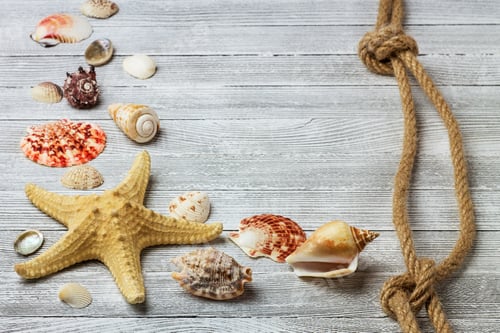 Preview: Seashells, starfish and rope on a light wooden background