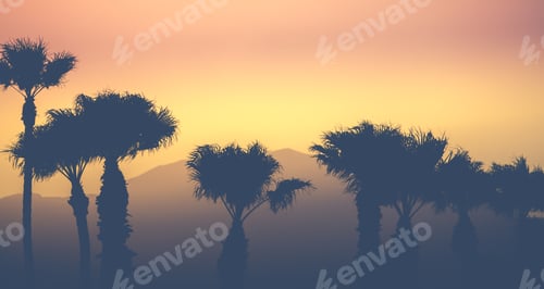 Preview: Mountain Desert Palms