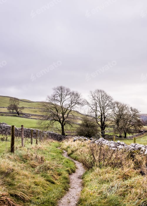 Preview: Countryside path with stone walls and trees under a cloudy sky in the Yorkshire Dales, England.