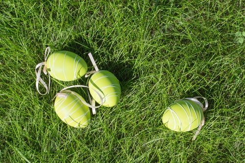 Preview: Easter painted green color eggs with ribbon on green grass. Sunny day. Close up. Top view.