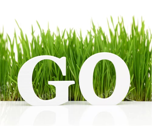 Preview: Go green with text and grass isolated on white