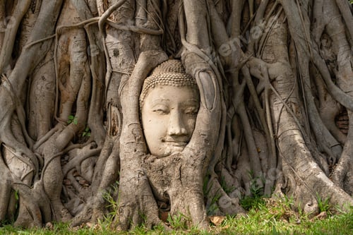 Preview: Old ruins of a ancient temple in Phra Nakhon Si Ayutthaya province, Thailand