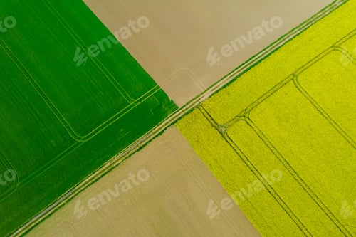 Preview: View from a height of the triangles of farm fields. Growing rapeseed and wheat.