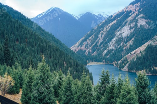 Preview: Lake among the Tien Shan mountains with green firs