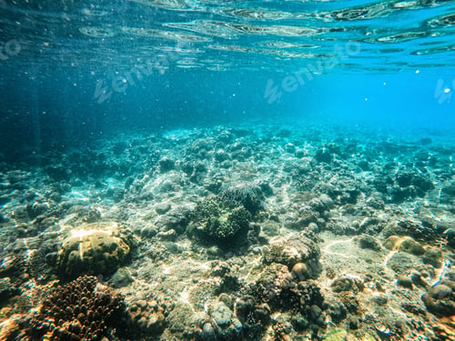 Preview: Tropical beach in El Nido, Palawan, Philippines