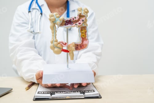 Preview: A female doctor sits at a table in a hospital, discussing intestinal health issues, including