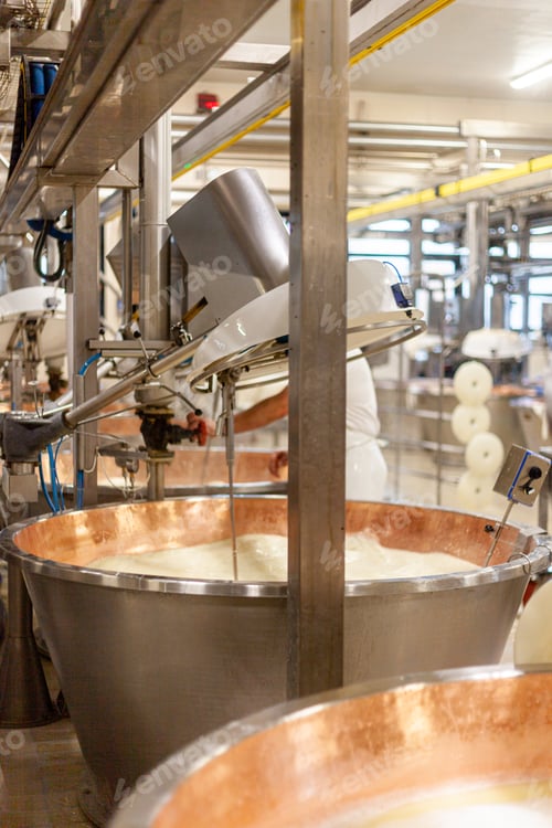 Preview: parmigiano reggiano hard grate cheese industrial production cooking process plant