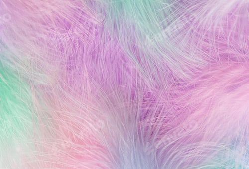 Preview: Abstract feather rainbow background.