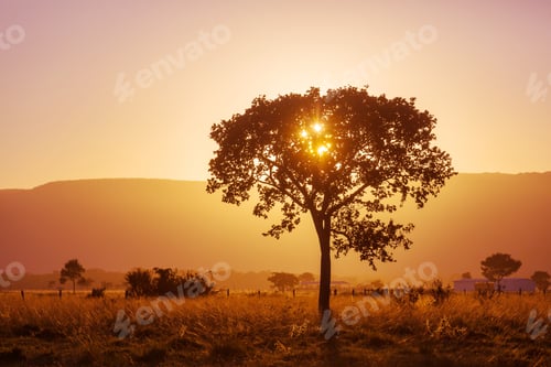 Preview: Tropical sunset