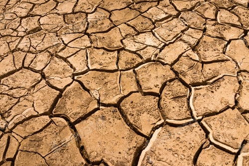 Preview: Dry cracked land