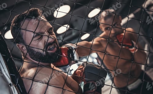 Preview: Wrestlers in the ring