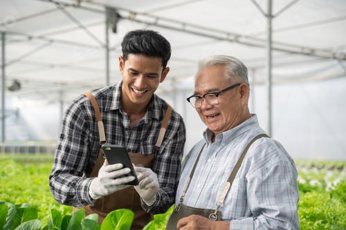 Preview: Group of worker talking about quality of organic vegetables.
