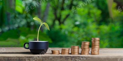 Preview: Growing Money and Seedling Plant on Wood