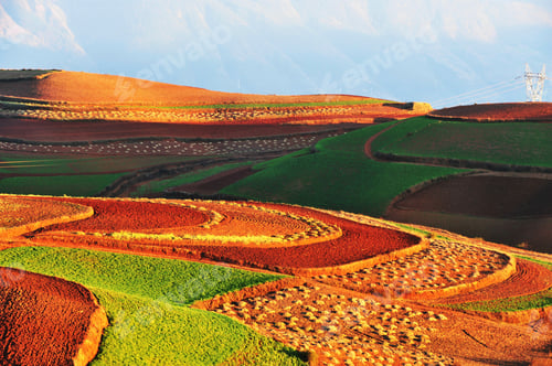 Preview: Colourful fields, Yunnan, China.