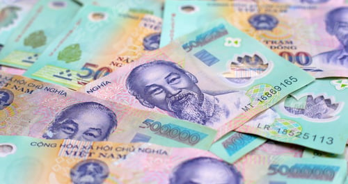 Preview: Five hundred thousand dong banknotes