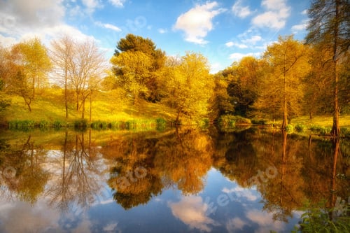Preview: Nature reflected