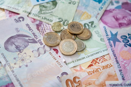 Preview: Various Turkish Lira Banknotes And Coins. Turkish Money