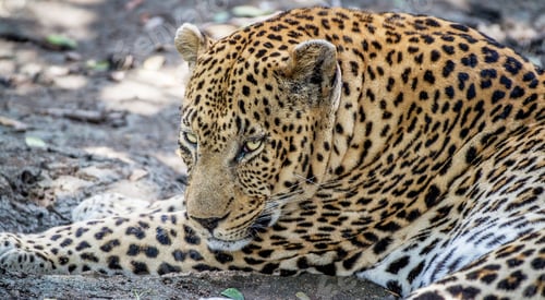 Preview: A Magical Ecuador place in World