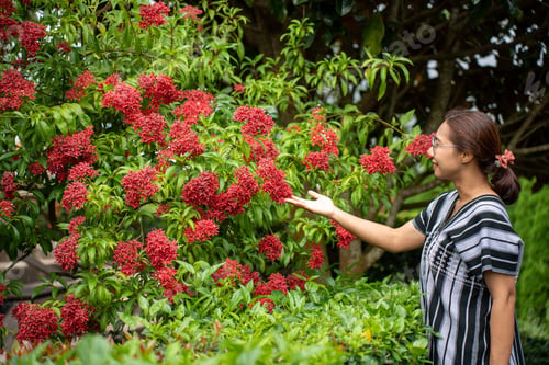 Preview: Young woman traveler enjoying with blooming flowers garden flowers farm Travel lifestyle