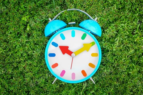 Preview: Alarm clock on green plants, outdoors. Time change concept