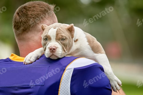 Preview: American football player with a dog posing on camera in a park. Copy space, sports banner. Concept