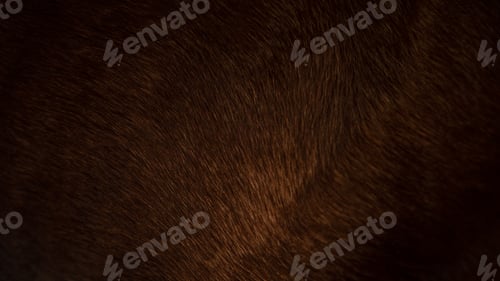 Preview: Animal hair of fur cow leather texture background