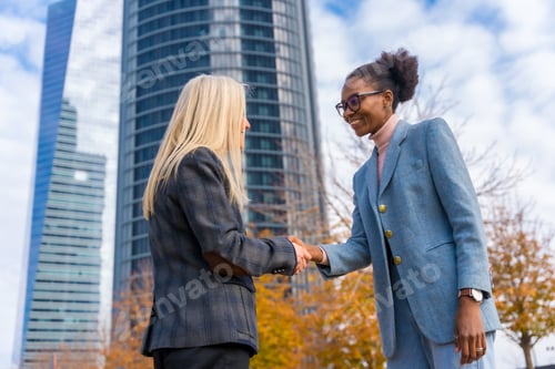 Preview: Middle-aged multi-ethnic businesswomen and executives, greeting by shaking hands on work break